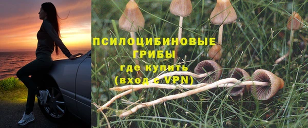 PSILOCYBIN Бронницы